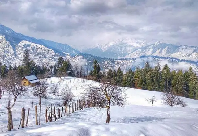 shimla tour package